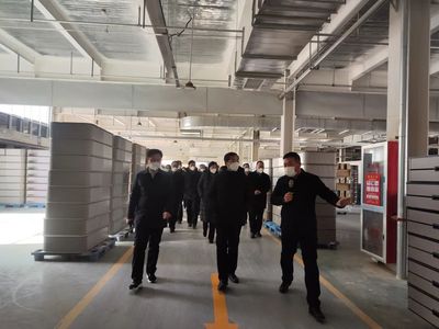 沂南县推动高质量发展现场交流会走进张庄镇
